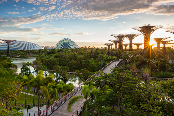 Singapore Gardens by the Bay
